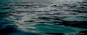 Tranquil Water Surface Texture PNG image with transparent background
