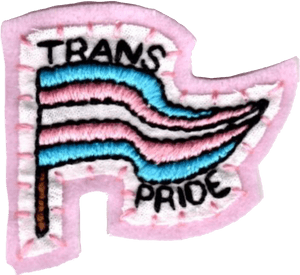 Homem Trans, Trans Pride Flag, Trans Man, Trans Boys, - Pride Aesthetic, HD Png Download PNG image with transparent background