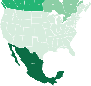 Transit Map To Mexico - Map Of Mexico Png, Transparent Png PNG image with transparent background