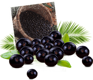 Transparent Acai Berry Png, Png Download PNG image with transparent background