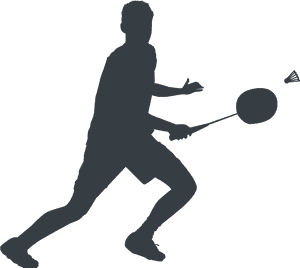 Transparent Background Badminton Png, Png Download PNG image with transparent background