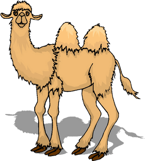 Transparent Background Cartoon Camel Png, Png Download PNG image with transparent background