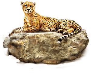 Transparent Background Cheetah Png, Png Download PNG image with transparent background