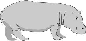Transparent Background Hippo Clipart, HD Png Download PNG image with transparent background