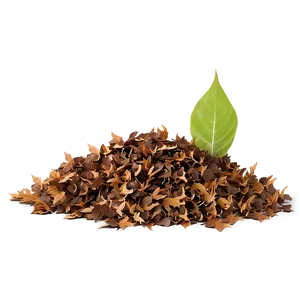 Transparent Background Leaf Pile Png Shv PNG Image