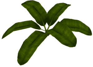 Transparent Banana Leaf Png - Herb, Png Download PNG image with transparent background