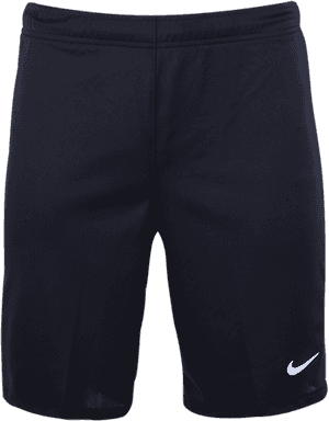 Transparent Black Shorts Png - Bermuda Shorts, Png Download PNG image with transparent background