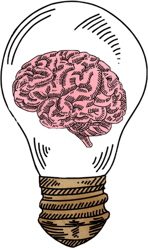 Transparent Brain Surgery Clipart - Brain Drawing Cartoon Png, Png Download PNG image with transparent background