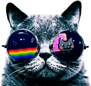 Transparent Cat Eye Glasses Png - Cat With Sunglasses Transparent, Png Download PNG image with transparent background