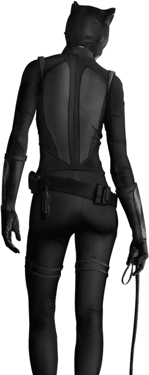 Transparent Catwoman Png - Catwoman From The Back, Png Download PNG image with transparent background
