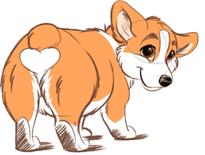 Transparent Corgi Clipart, HD Png Download PNG with transparent background
