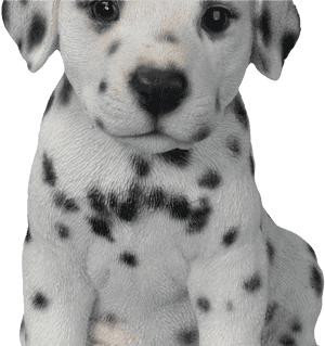 Transparent Cute Puppies Png - Dalmatian Puppy Png, Png Download PNG image with transparent background