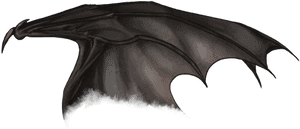 Transparent Demon Wings Png, Png Download PNG image with transparent background