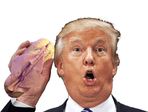 Transparent Donald Trump Head Png - Trump Stupid Face, Png Download PNG image with transparent background