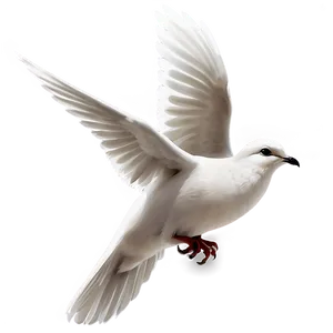 Transparent Dove Clipart Png Rxj PNG Image