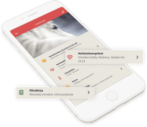 Transparent Ferrari Horse Png - Iphone, Png Download PNG image with transparent background