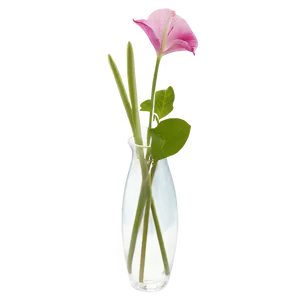 Transparent Flower Vase Png Yuv73 PNG Image