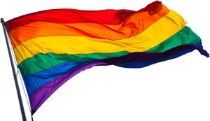 Transparent Gay Pride Flag Png, Png Download PNG image with transparent background