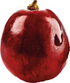Transparent Grape Png - Single Grape Transparent, Png Download PNG image with transparent background