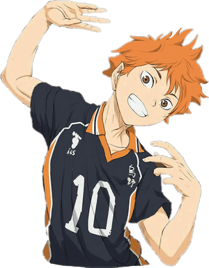 Transparent Haikyuu Png - Hinata Haikyuu Icon, Png Download PNG image with transparent background