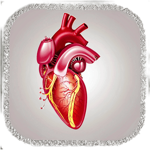 Transparent Heart Picture PNG 05252024 PNG