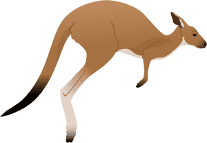 Transparent Kangaroo Clip Art - Kangaroo Clipart, HD Png Download PNG image with transparent background
