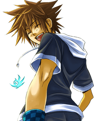 Transparent Kingdom Hearts Sora Png - Kingdom Hearts Characters, Png Download PNG image with transparent background