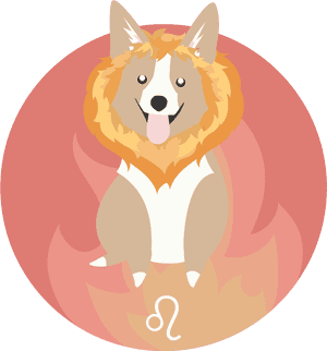 Transparent Leo Zodiac Png - Pembroke Welsh Corgi, Png Download PNG with transparent background