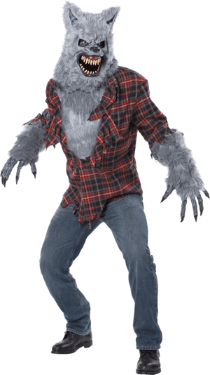 Transparent Lobo Png - Grey Werewolf Costume, Png Download PNG image with transparent background