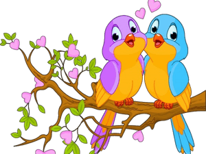 Transparent Love Birds Png - Love Birds Images Png, Png Download PNG image with transparent background