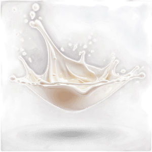Transparent Milk Splash PNG 15 PNG