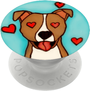 Transparent Pitbull Puppy Png - Russell Terrier, Png Download PNG image with transparent background