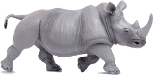 Transparent Rhinoceros Png - Rhinoceros, Png Download PNG image with transparent background