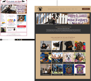 Transparent Rottweiler Png - Online Advertising, Png Download PNG image with transparent background