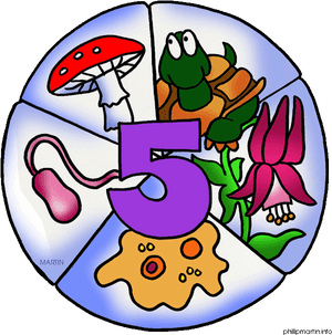 Transparent Science Clipart - Five Kingdoms Science, HD Png Download PNG image with transparent background