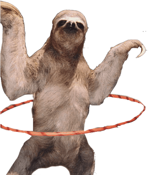Transparent Sloth - Sloth At The Beach, HD Png Download PNG image with transparent background