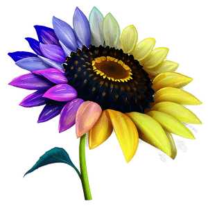Transparent Sunflower Illustration PNG 88 PNG
