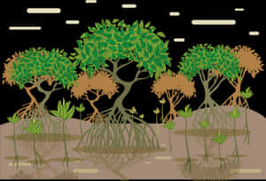 Transparent Tree Root Png - Mangrove Forest Art, Png Download PNG image with transparent background