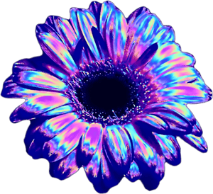 Transparent Vaporwave Transparent Png - Transparent Vaporwave Flower Png, Png Download PNG with transparent background