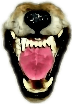 Transparent Wolf Teeth Clipart - Werewolf Transparent Fangs Png, Png Download PNG image with transparent background
