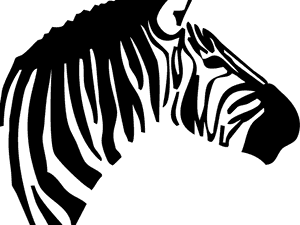 Transparent Zebra Head Png, Png Download PNG image with transparent background