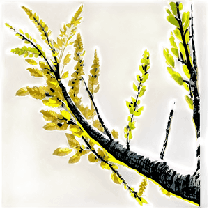 Tree Branch Silhouette PNG kxn PNG image with transparent background