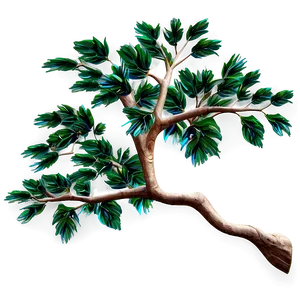 Tree Branches A PNG Image