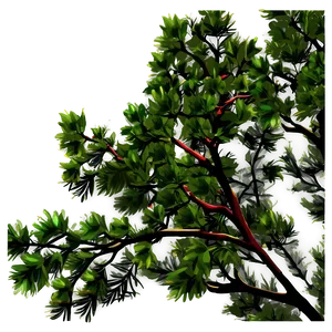 Tree Branches At Night Png 41 PNG Image