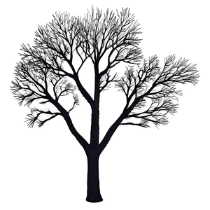 Tree Branches At Night Png Cvs21 PNG Image