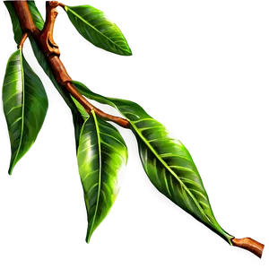 Tree Branches With Leaves Png 06282024 PNG Image