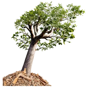 Tree Clearing Effects Png Ikn PNG Image