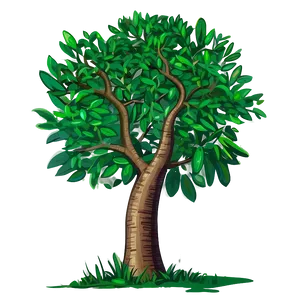 Tree Drawing A PNG Image