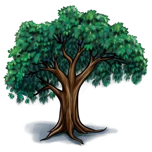 Tree Drawing Png 73 PNG Image