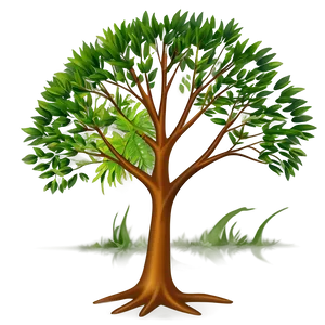 Tree Elevation A PNG Image